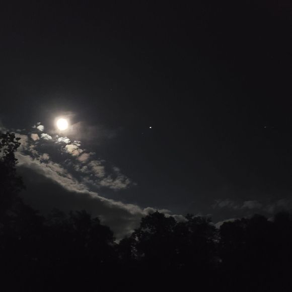 Meet your Posher, Britt - Picture 1 of 1